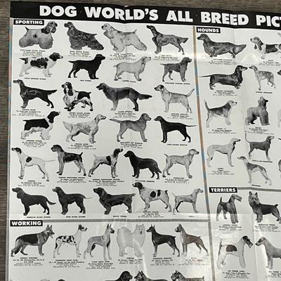 "DOG WORLD'S ALL BREED PICTORIAL" POSTER
