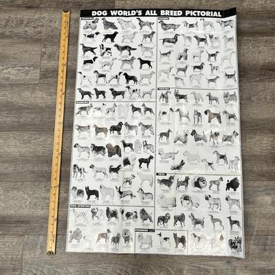 "DOG WORLD'S ALL BREED PICTORIAL" POSTER