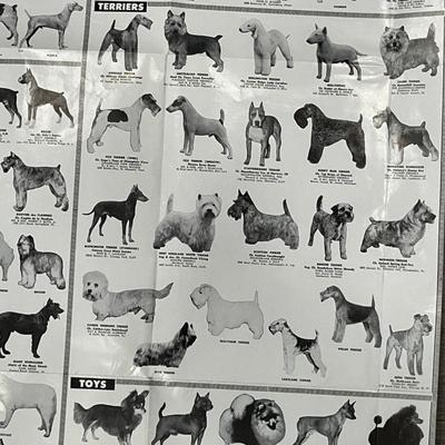 "DOG WORLD'S ALL BREED PICTORIAL" POSTER