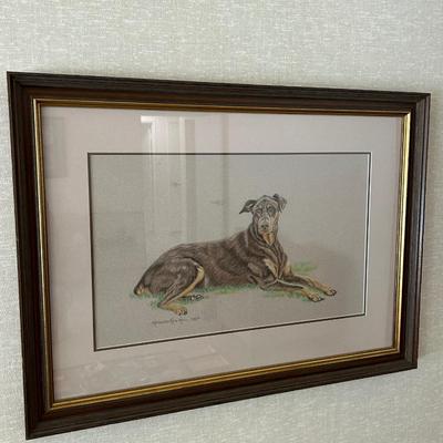Signed Kathleen Kiel Hill hand drawing of Doberman, pincher, dog, professionally framed 1992