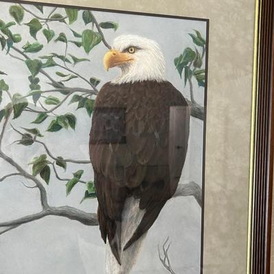 Vintage professionally, framed print of American bald eagle.