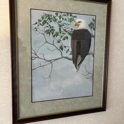 Vintage professionally, framed print of American bald eagle.