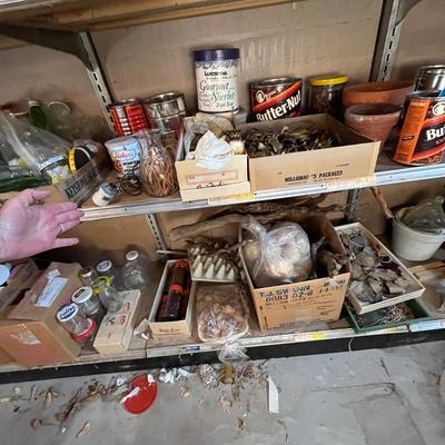 Shelves of Planters, seeds & other