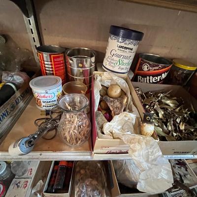 Shelves of Planters, seeds & other