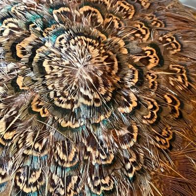 Lot of vintage hats