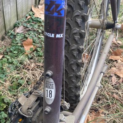 Giant Ringon Bike