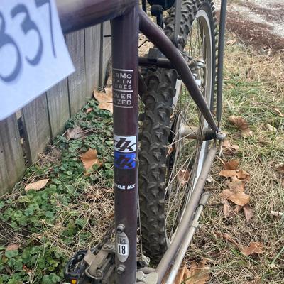 Giant Ringon Bike