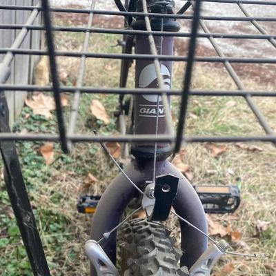 Giant Ringon Bike