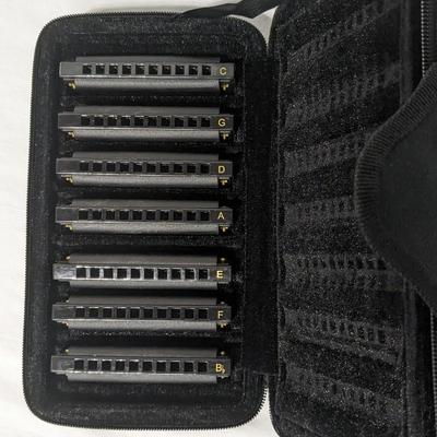 Hohner Piedmont Blues Harmonica Set