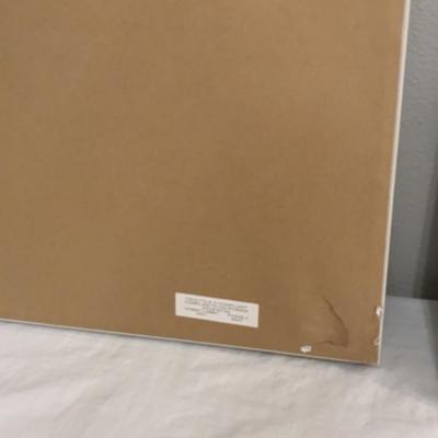 Framed Art