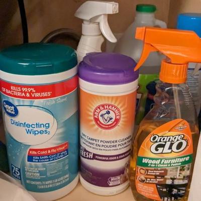 Undersink Contents