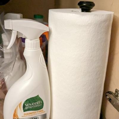 Undersink Contents