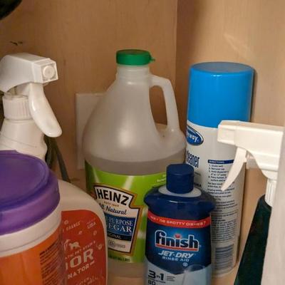Undersink Contents