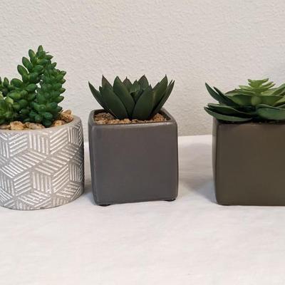 Faux Flora