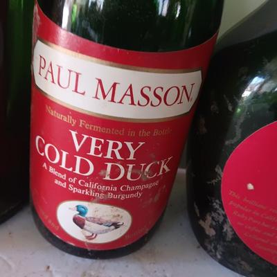 Vintage empty glass bottles with labels