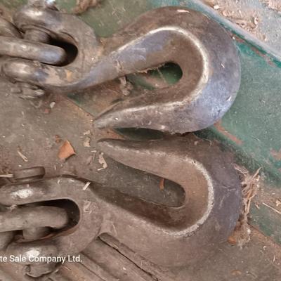 Approx. 20 ' chain with two hooks and a chain binder