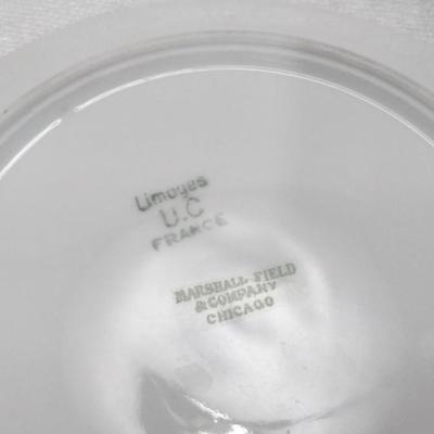 Limoges Cream of Soup Cup and Saucer