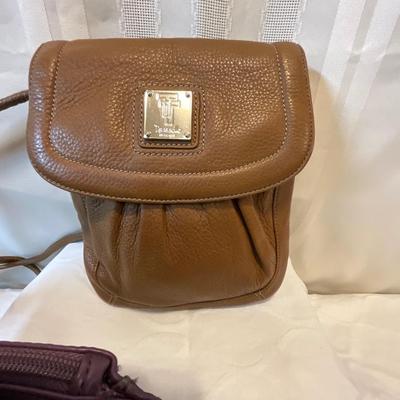 Tignanello crossbody bag and Tyler Rodan purse