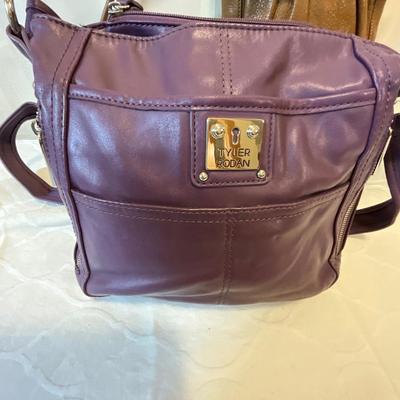 Tignanello crossbody bag and Tyler Rodan purse