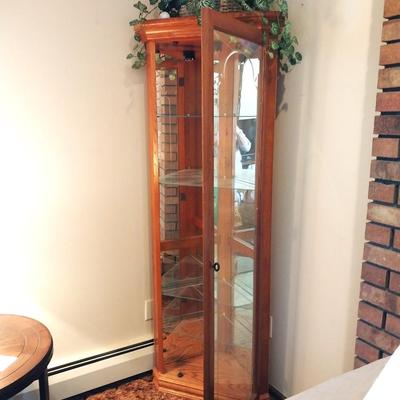 CURIO CABINET W/3 GLASS SIDES AND MIRRORED BACK, 3 GLASS SHELVES
