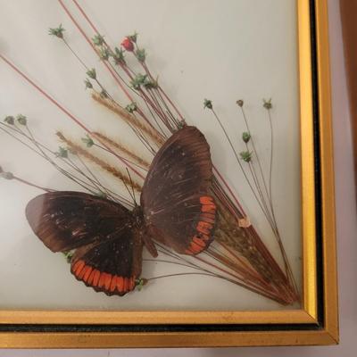 Vintage Botanical Art (LR-DW)