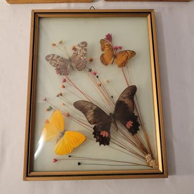 Vintage Botanical Art (LR-DW)