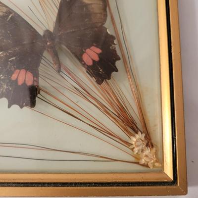 Vintage Botanical Art (LR-DW)