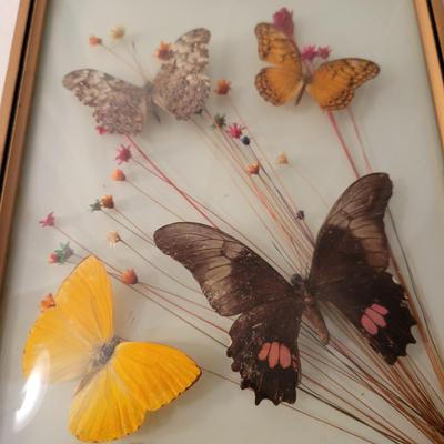 Vintage Botanical Art (LR-DW)