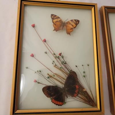 Vintage Botanical Art (LR-DW)