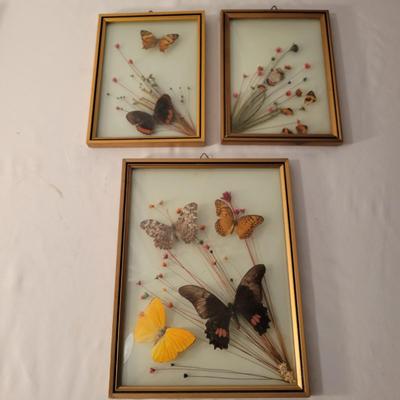 Vintage Botanical Art (LR-DW)