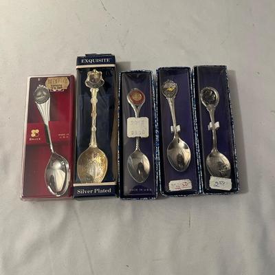 Collection of Spoons & More (LR-MG)