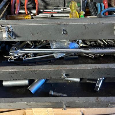 Craftsman Toolbox w/ Warrior Drill & Plethora of Tools (BS1-MG)