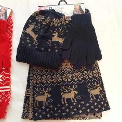 Ladies Winter Accessories (B3-BBL)