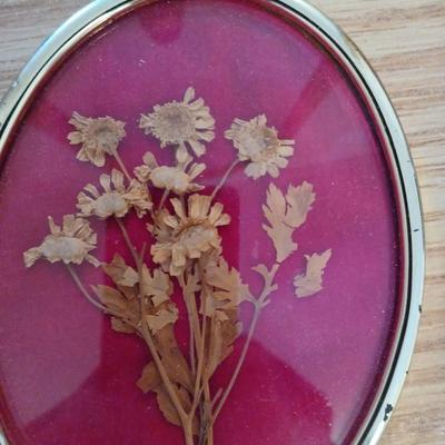 2 framed pressed flowers