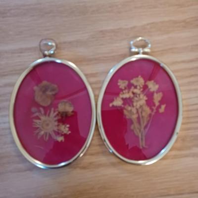 2 framed pressed flowers
