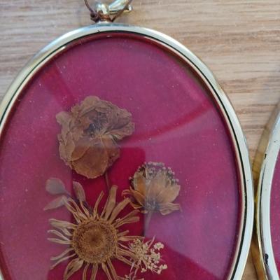 2 framed pressed flowers
