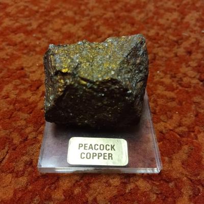peacock copper