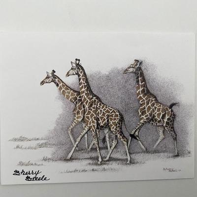 Sherry Steele signed Giraffes Postcard
