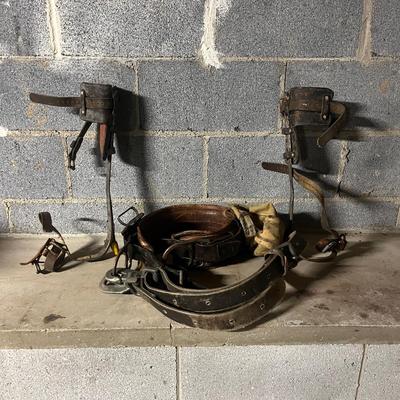 Pole Climbing Equipment (BS1-MG)