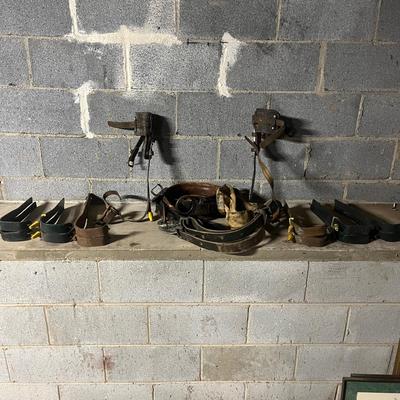 Pole Climbing Equipment (BS1-MG)