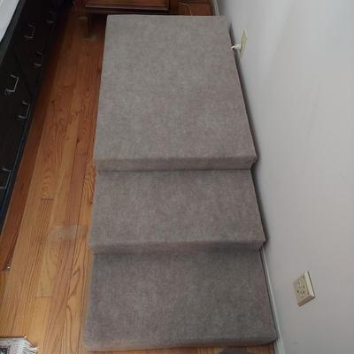 Carpeted Stairs for Pets or Storage/Display (B3-BBL)