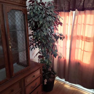 Large Faux Ficus Tree (B3-BBL)