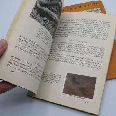 National Audubon Society Vintage Nature Program Guide Books Life Along the Amazon & Fungi