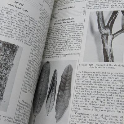 Handbook on Insect Enemies of Flowers and Shrubs U.S. Department of Agriculture 1948