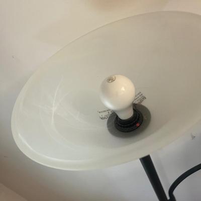 Two Bulb Floor Lamp (LR-MG)