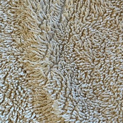 Large ivory area rug