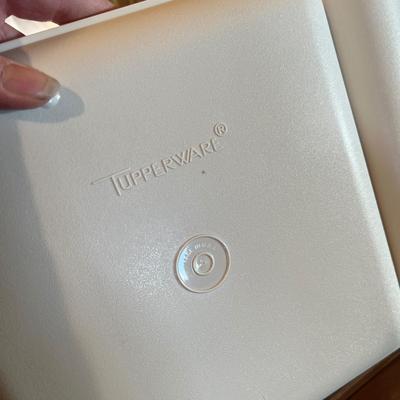 Rare Tupperware Trays
