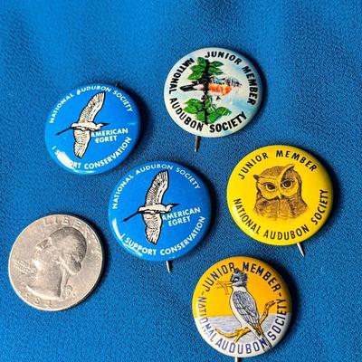 GROUP OF 5 NATIONAL AUDUBON SOCIETY JUNIOR MEMBER PINBACK BUTTONS, 4 DIFFERENT PATTERNS