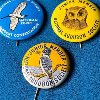 GROUP OF 5 NATIONAL AUDUBON SOCIETY JUNIOR MEMBER PINBACK BUTTONS, 4 DIFFERENT PATTERNS