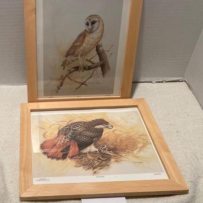 Bird Pictures